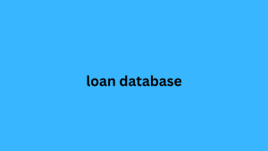 loan database 